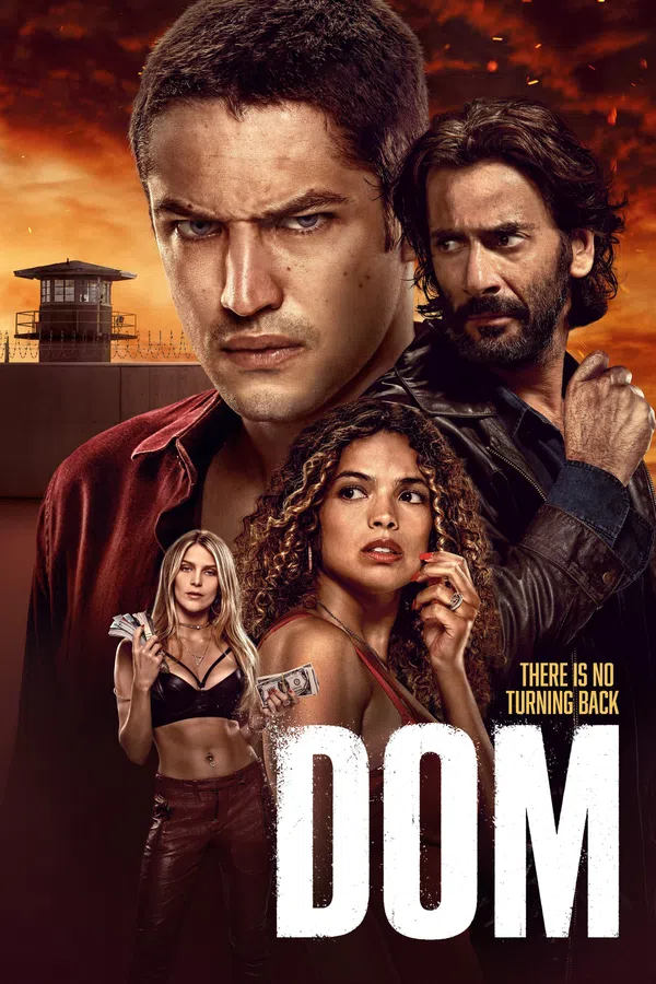 Poster phim Dom (Phần 2) trên SubNhanh