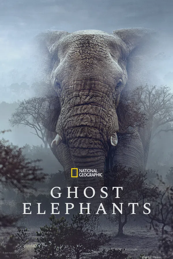 Xem Phim Ghost Elephants Vietsub HD Online
