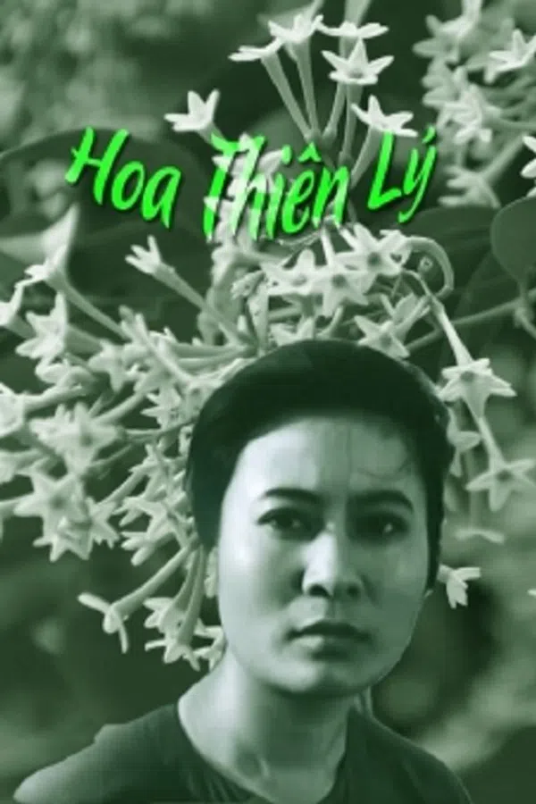 Xem Phim Hoa Thiên Lý Vietsub HD Online