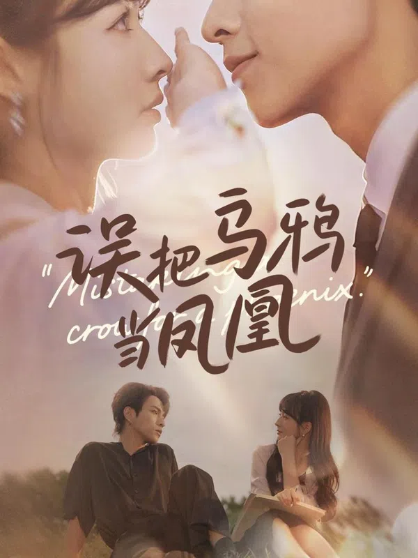 Poster phim Nhầm Quạ Với Phượng Hoàng trên SubNhanh