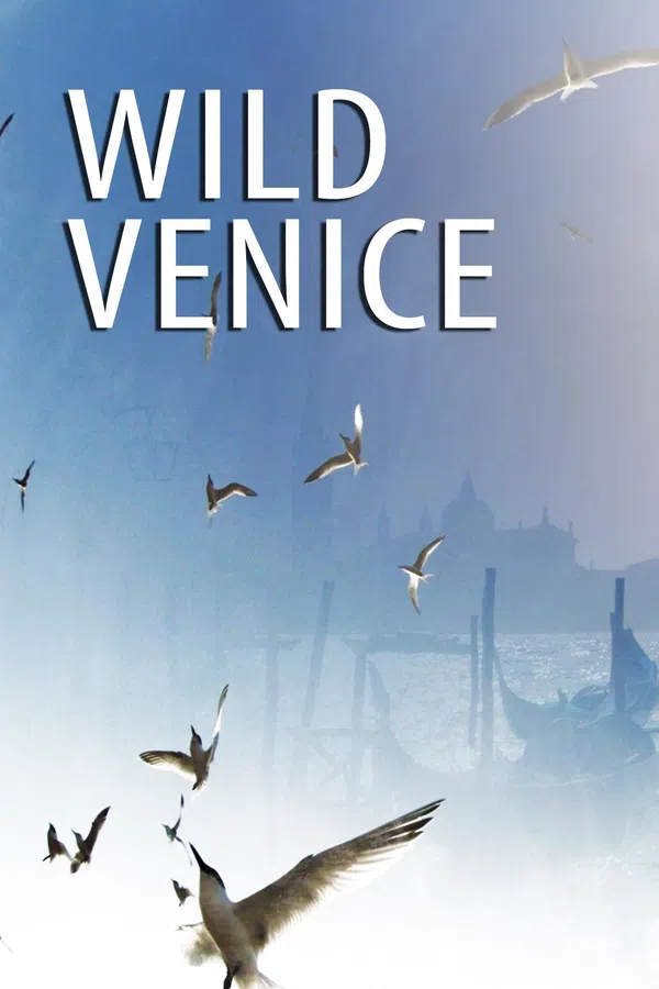 Xem Phim Thiên Nhiên Hoang Dã Venice Vietsub HD Online