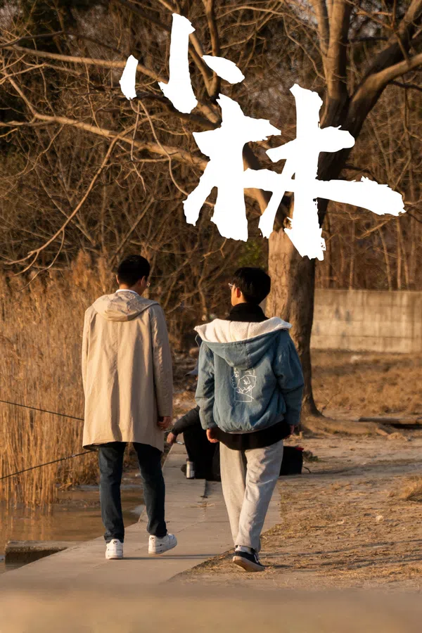 Xem Phim Xiao Lin Vietsub HD Online