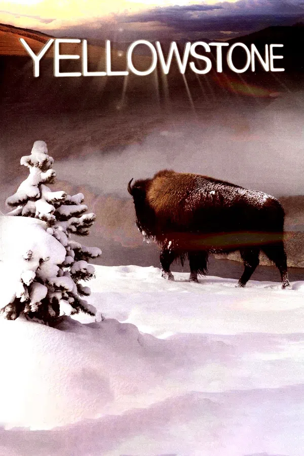 Xem Phim Yellowstone Vietsub HD Online